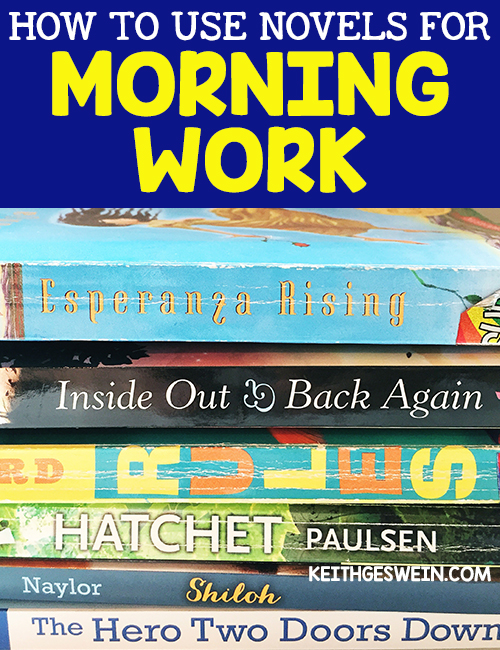 Ideas to help you use novels for morning work